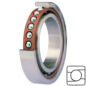 SKF 71913 ACEGA/P4A Precision Ball Bearings