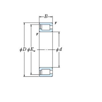 Bearing NCF2960V