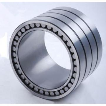 Four row cylindrical roller bearings FC3650120