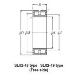 Bearing SL01-4944 SL Type Cylindrical Roller Bearings